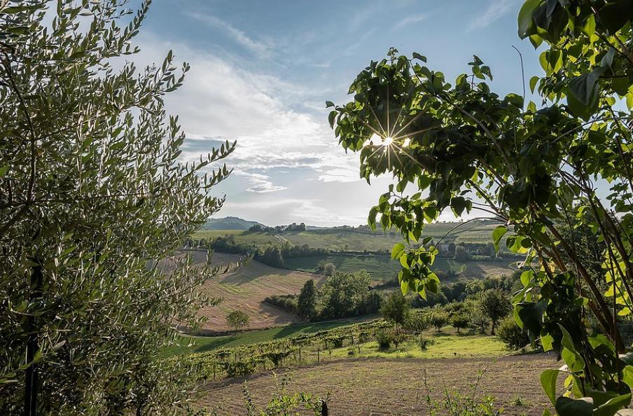 B&B Carletto Cella Monte Exterior photo