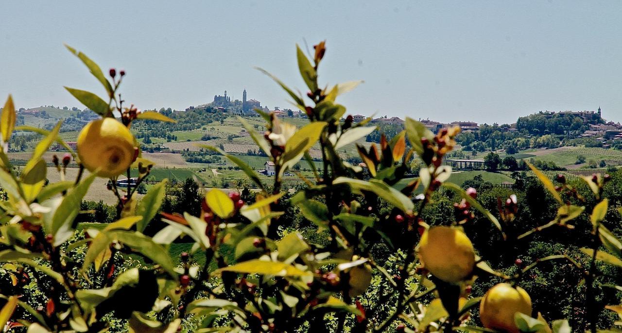 B&B Carletto Cella Monte Exterior photo